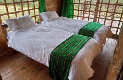 Kimunye Cabin | Castle Forest Lodge