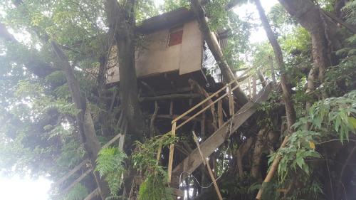 Tanna Island Hotel | Castle Tree House And Bungalow
