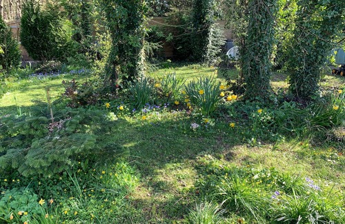 Isle of Purbeck Cottage | Castle View Annex