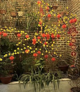 Cao Bang House | cat homestay