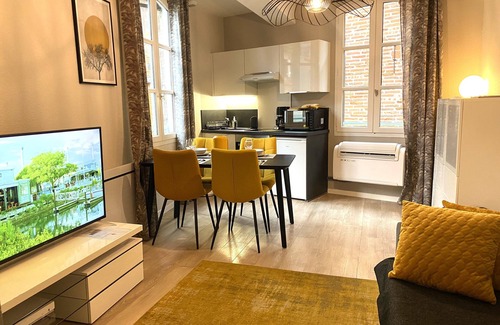 Albi Apartment | Cathedral Aparthotel historic center cathedral view