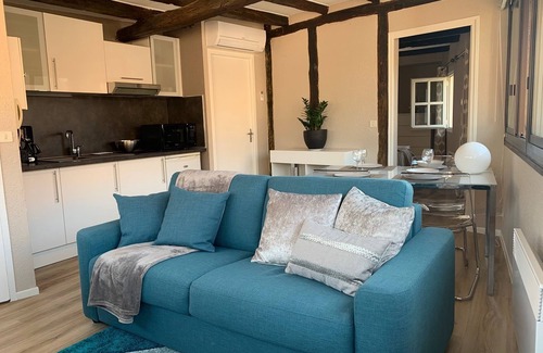 Albi Apartment | Cathedral Aparthotel historic center cathedral view Superior
