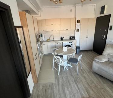 Bucharest Apartment | Cathedral Uptown-Urban Comfort with Balcony