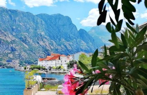 Prcanj Apartment | Cattaro Fjord Apartment