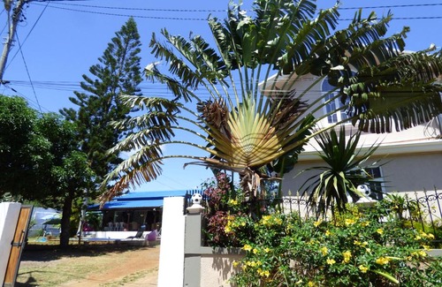 Trou aux Biches Bed & Breakfast | Cazhibiscus