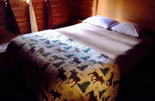 Ashford Apartment | Cedar at Rainier Lodge (0.4 m from Mt.Rainier)
