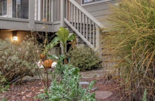 Carson House | Cedar Creek Sanctuary. 3br on Nat. Forest Land. Outdoor adventure basecamp.