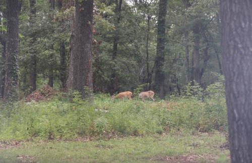 Lebanon Bed & Breakfast | Cedar Grove Inn