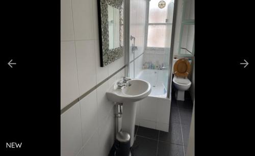 West Hampstead House | Cedar House