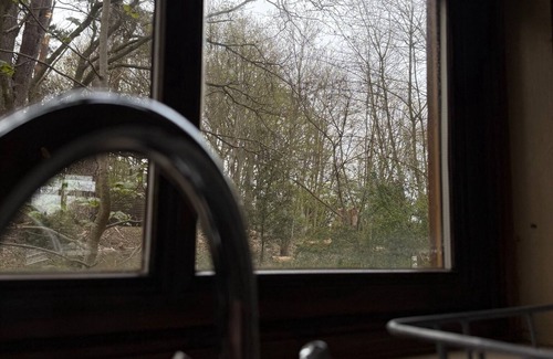 Bury St Edmunds House | Cedar Lodge