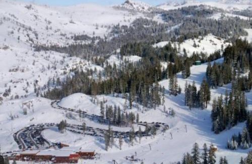 Dorrington House | Cedar Oasis - Pet Friendly Cabin w Fireplace, Games and Wifi - 5 min to Big Trees