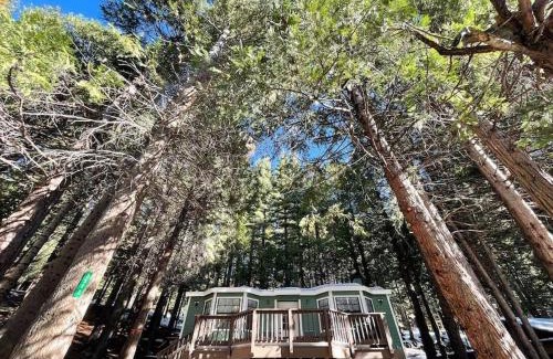 Dorrington House | Cedar Oasis - Pet Friendly Cabin w Fireplace, Games and Wifi - 5 min to Big Trees