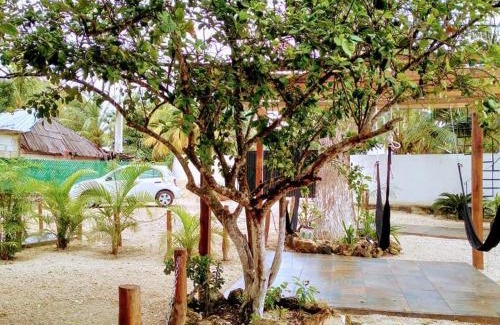 Bacalar Hotel | Cedro Rojo