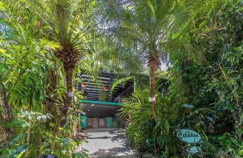Palm Cove House | CELADON Holiday House