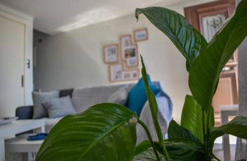 Mirties House | Celeste House