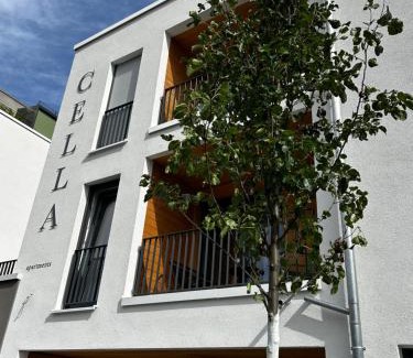Zell im Wiesental Hotel | CELLA Apartments *