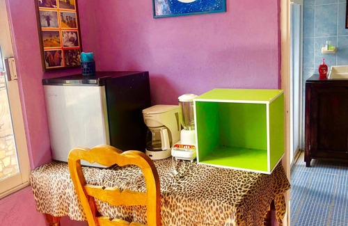 De Guadalupe Apartment | Central Comfy Small Studio