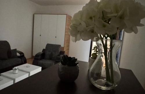 Sabac Apartment | Centar Sweet Home