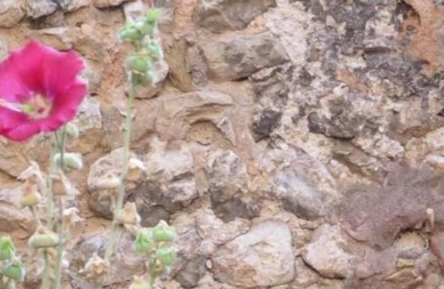 Moustiers-Sainte-Marie House | Center of MOUSTIERS STE MARIE In the calm JARDIN CLOS Home any comfort: 2-8 pers