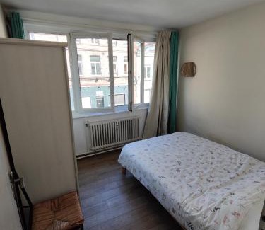 Lille-Moulins Apartment | Center of Lille, spacious & cozy apartment