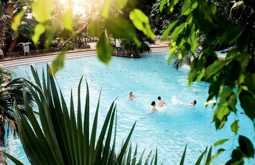 Les Barils House | Center Parcs - Domaine Les Bois-Francs - 3-room cottage for 4 people Premium