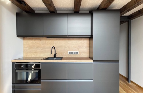 Kaunas Apartment | Center stay Kaunas - Peledyne/Owl's nest apartments
