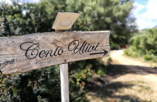 Rudalza Bed & Breakfast | Cento Ulivi B&B