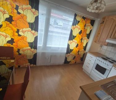 Savonlinna Apartment | Central Accommodation at Olavinkatu