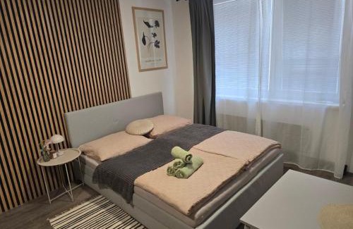 Komarno Apartment | CENTRAL Apartman 2
