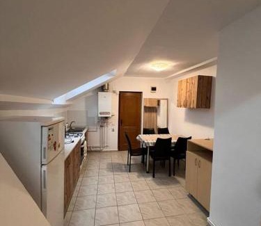 Tirgu Mures Apartment | Central apartment for 7