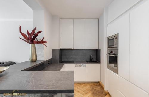 Kaunas Apartment | Central Kaunas Luxury Apartment with Free Parking