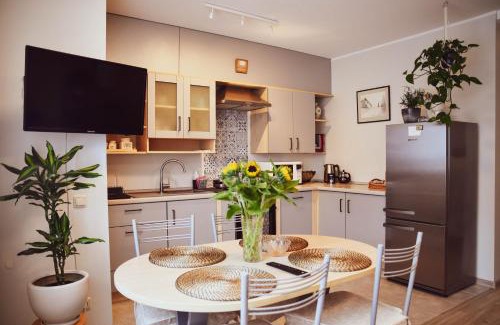 Birstonas Apartment | Central Park Apartment Birštonas