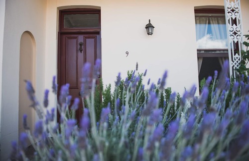 Orange House | Central, pet friendly! Walk everywhere in the Orange CBD