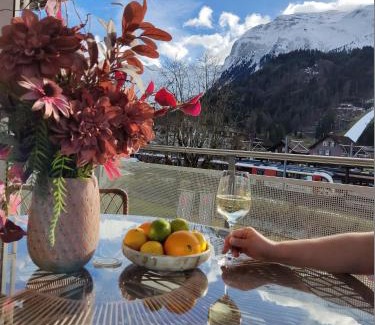 Engelberg Apartment | Central Serviced Apartment