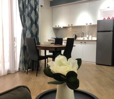 Kutaisi Apartment | central square