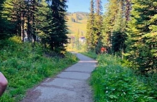 Silver Star Mountain Ski Chalet | Central Station - perfectly located for Winter games and Summer fun.