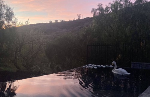 Malibu House | Central Vineyard Heated Pool Hot Tub BBQ Gazebos and Swings (Pet+Child Friendly)