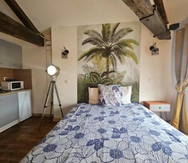 Confolens Apartment | Centre Confolens studios rénovés