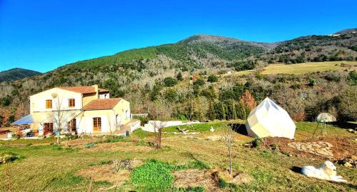 Rennes-les-Bains Cabin | Centre Harmonia