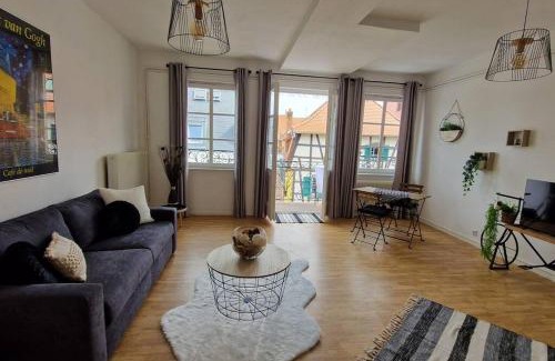 Saverne Apartment | Centre historique de Saverne, bel appartement de 65 m2, Hyper Centre zone piétonne, Parking gratuit à proximité