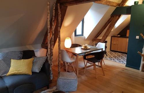Rouen City Centre Apartment | Centre historique l'authentique Saint Nicolas ou le bourdon de la Cathédrale