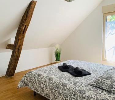 La Fleche Apartment | Centre ville (2): superbe appartement climatisé