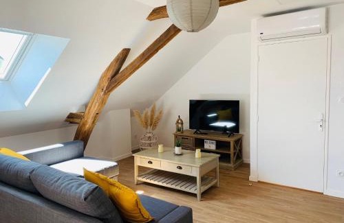 La Fleche Apartment | Centre ville (2): superbe appartement climatisé