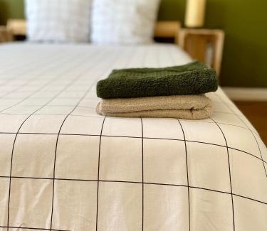 Faubourg Sud Apartment | Centre ville Dijon Wilson *Chez Charles* 2Ch