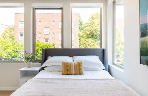 Minor House | Centro House 8A - New