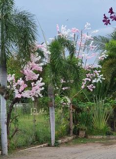 Paiton House | Cerah Hotel