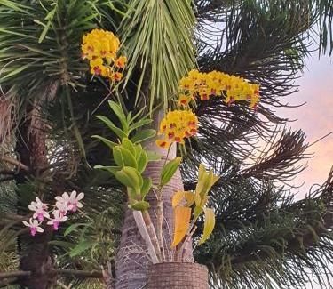 Paiton House | Cerah Hotel