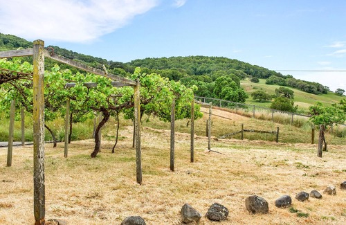 Petaluma House | Cerro Pampa Hacienda Property *Spacious Ranch Home with a Pool