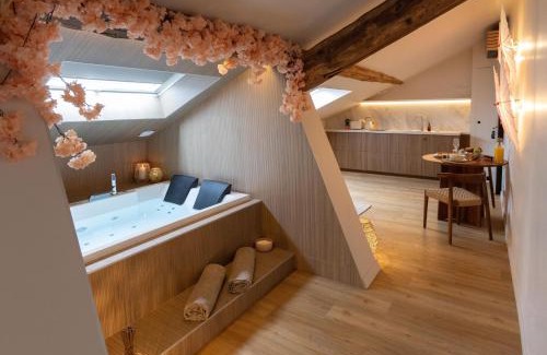 Jacquard - Prefecture Apartment | CEVA Suite Sakura - Jacuzzi & Cinéma Centre ville