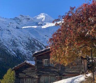 Saas-Fee Ski Chalet | Châlet Birkhahn